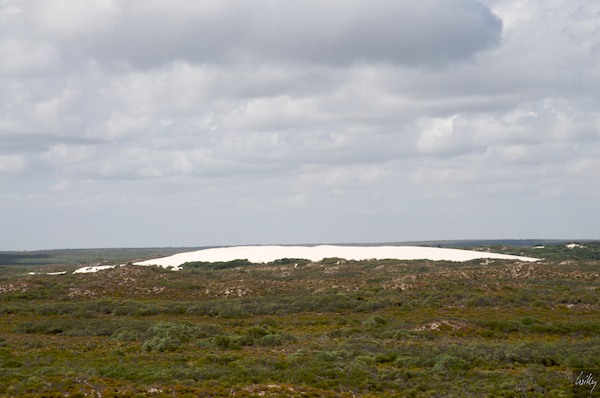 AustraliaPerth 10  070